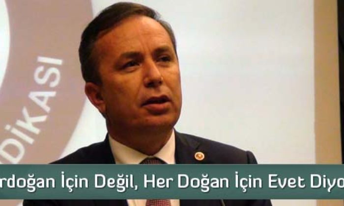 16 Nisan Anayasa Referandumu