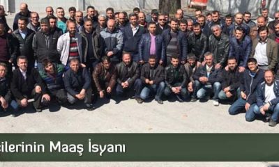 Hayat İşçilerinin İsyanı
