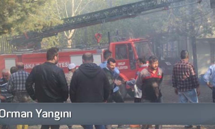 İskilip’te Orman Yangını