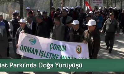 Orman Haftası Kutlanıyor