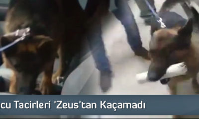 Uyuşturucu Tacirleri ‘Zeus’tan Kaçamadı