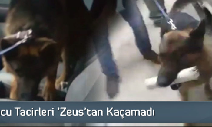 Uyuşturucu Tacirleri ‘Zeus’tan Kaçamadı