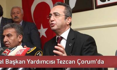 CHP Genel Başkan Yardımcısı Tezcan Çorum’da
