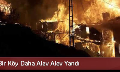 Kargı’da Bir Köy Daha Alev Alev Yandı