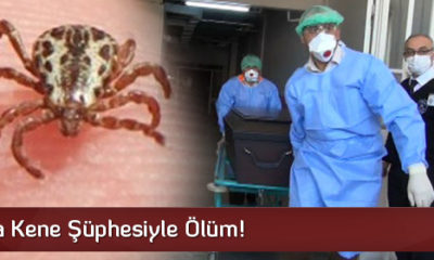 Çorum’da Kene Şüphesi İle Ölüm