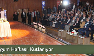 Kutlu Doğum Haftası Kutlanıyor