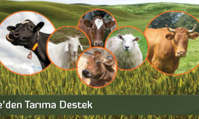 Özel İdare’den Tarıma Destek