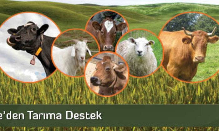 Özel İdare’den Tarıma Destek