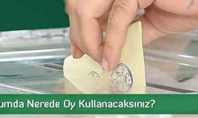 Referandumda Nerede Oy Kullanacaksınız?