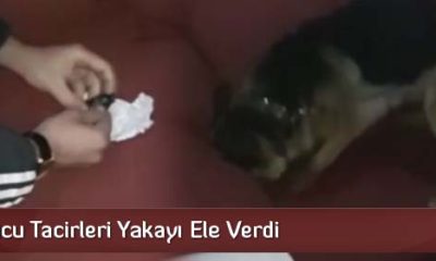 Uyuşturucu Tacirleri Yakayı Ele Verdi