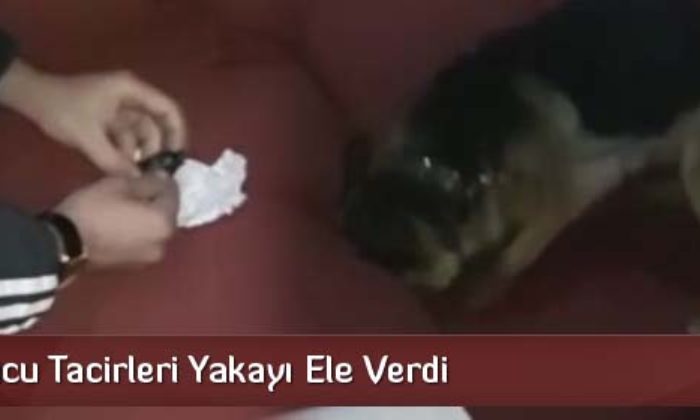 Uyuşturucu Tacirleri Yakayı Ele Verdi