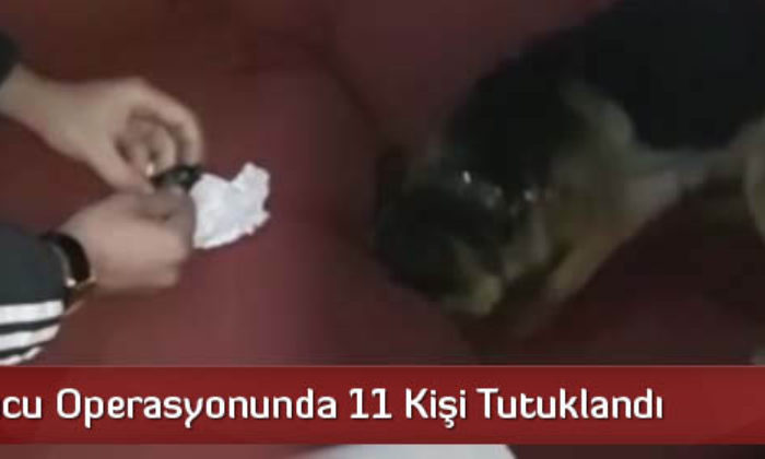 Uyuşturucu Operasyonunda 11 Kişi Tutuklandı