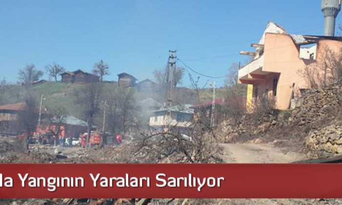 Alioğlu’nda Yangının Yaraları Sarılıyor