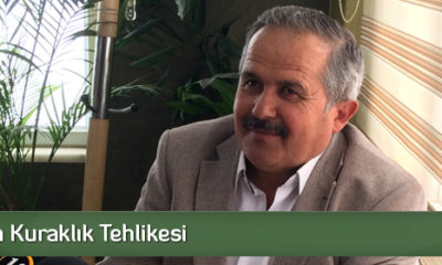 Buğday’da Kuraklık Tehlikesi