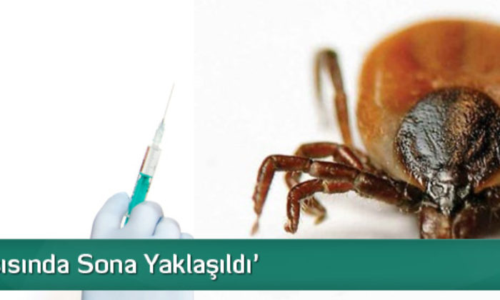 Kenelerin Aşısı Bulundu Mu?