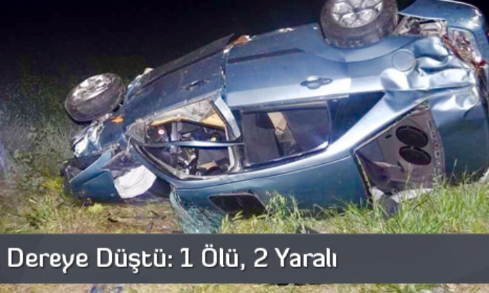 Otomobil Dereye Düştü