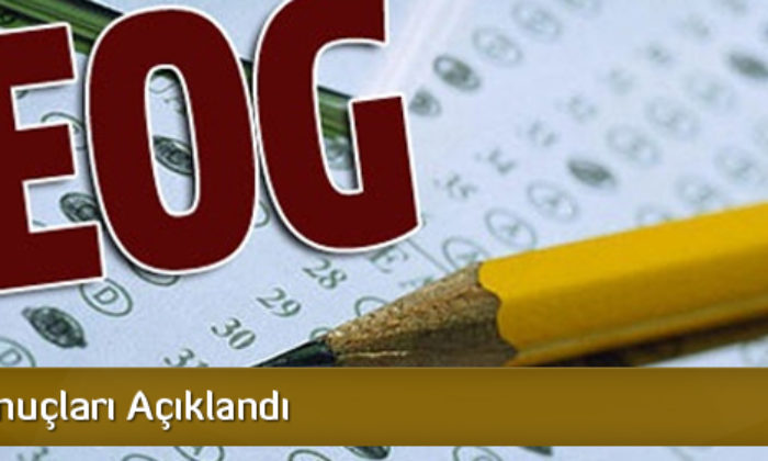 TEOG Sonuçları Açıklandı