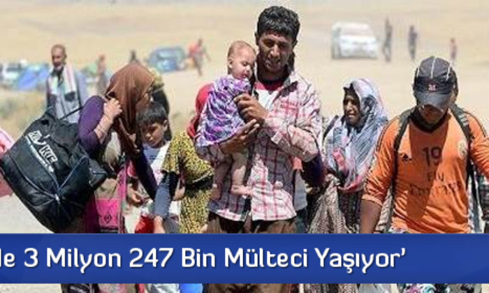 ‘Türkiye’de 3 Milyon 247 Bin Mülteci Yaşıyor’