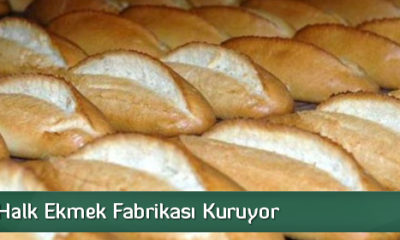 Belediye Halk Ekmek Fabrikası Kuruyor