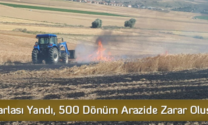 Buğday Tarlasında Yangın