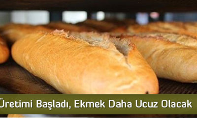 ‘Halk Ekmek’te Deneme Üretimi Başladı, Ekmek Daha Ucuz Olacak
