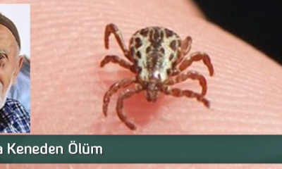 Çorum’da Keneden Ölüm!