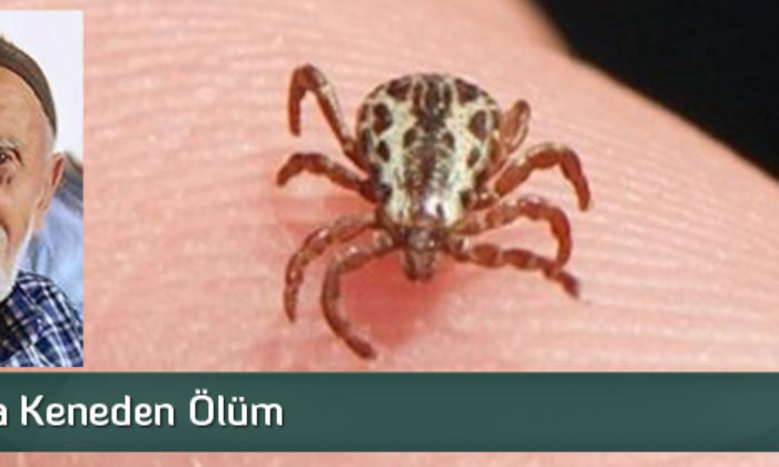 Çorum’da Keneden Ölüm!