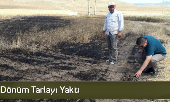 Leylek, 4 Dönüm Tarlayı Yaktı