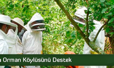 Çorum’da Orman Köylüsüne 14 Yılda, 22 Milyon 344 Bin TL’lik Destek