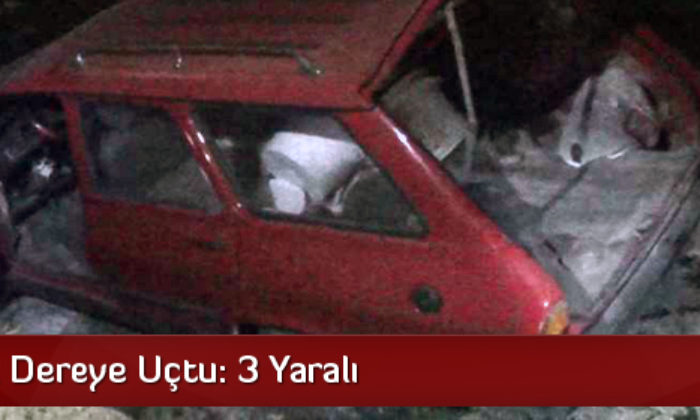 Otomobil Dereye Uçtu