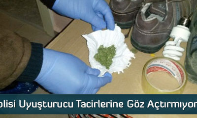 Çorum Polisi Uyuşturucu Tacirlerine Göz Açtırmıyor