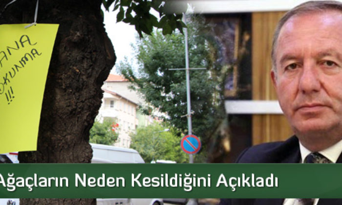 Şahiner, Ağaçların Neden Kesildiğini Açıkladı