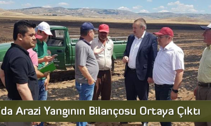 Sungurlu’da Arazi Yangının Bilançosu Ortaya Çıktı