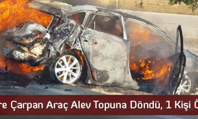 Bariyerlere Çarpan Araç Alev Topuna Döndü, 1 Kişi Öldü
