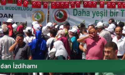 Bedava Fidan İzdihamı