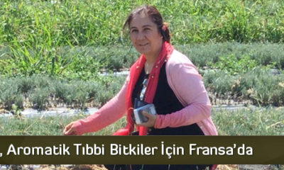 Ceritoğlu, Aromatik Tıbbi Bitkiler İçin Fransa’da
