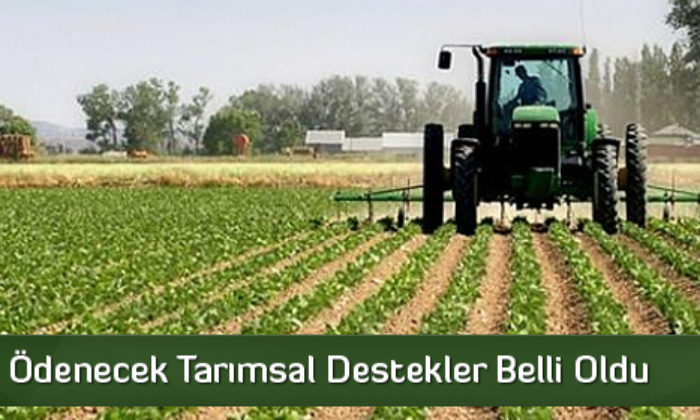 Çiftçilere Ödenecek Tarımsal Destekler Belli Oldu