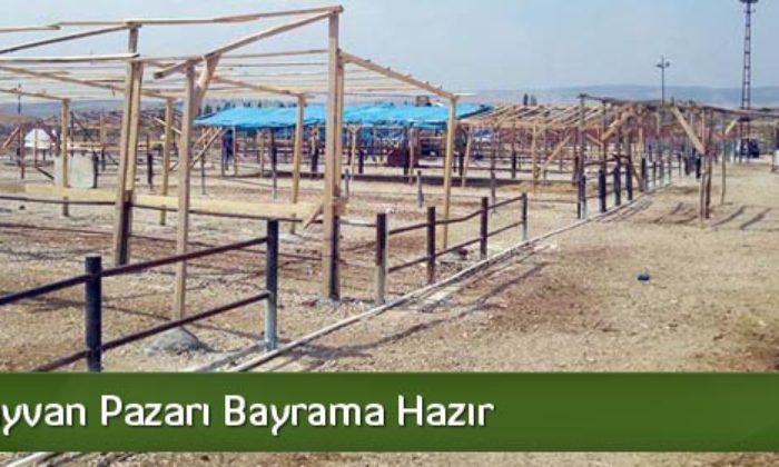 Geçici Hayvan Pazarı Bayrama Hazır