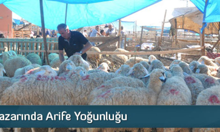 Kurban Pazarında Arife Yoğunluğu