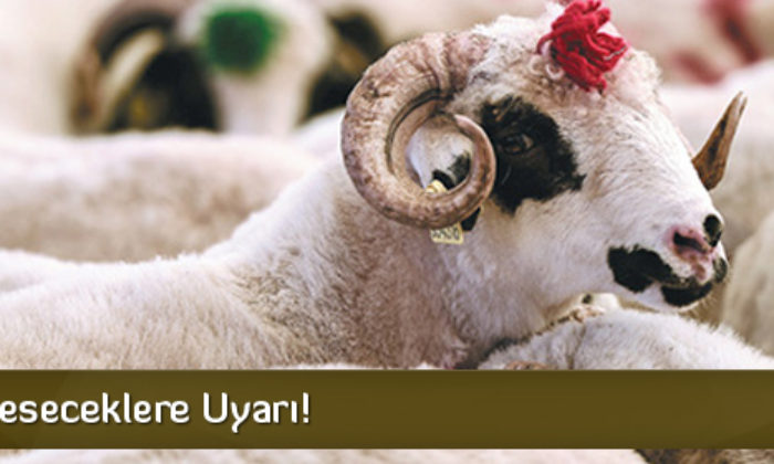 Valilikten Kurban Uyarısı!