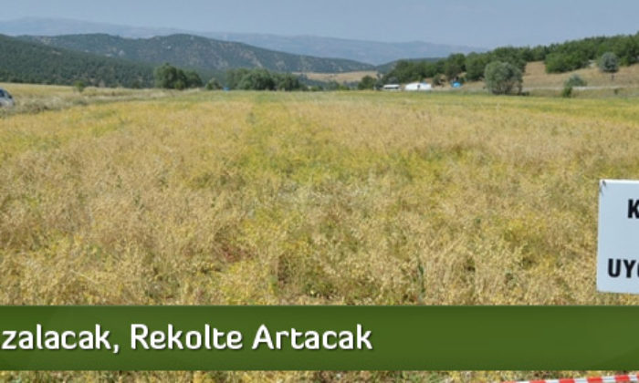 Maliyet Azalacak, Rekolte Artacak