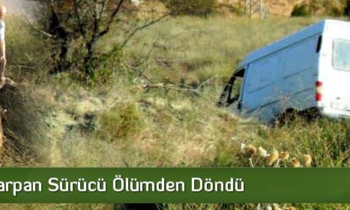 Geyiğe Çarpan Sürücü Ölümden Döndü
