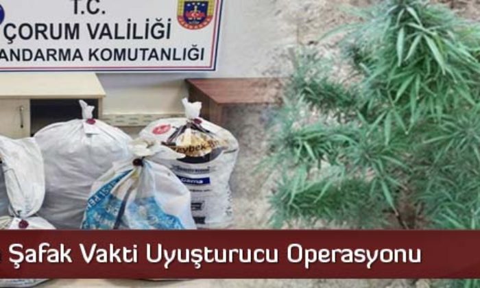 Jandarma Şafak Vakti Uyuşturucu Operasyonu