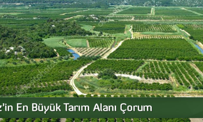 Karadeniz’in En Büyük Tarım Alanı Çorum