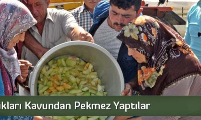 Satamadıkları Kavundan Pekmez Yaptılar