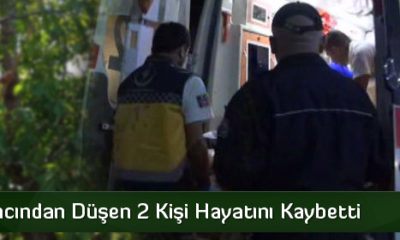 Ceviz Ağacından Düşen 2 Kişi Hayatını Kaybetti