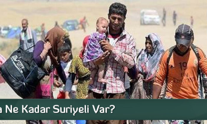 Suriyelilerin İllere Göre Dağılımı Açıklandı