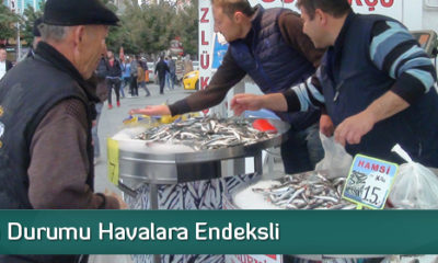 Hamsinin Durumu Havalara Endeksli