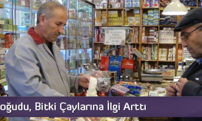 Aktariyelerde Kış Hareketliliği