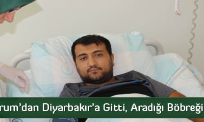 İş İçin Gitti, Aradığı Böbreği Buldu